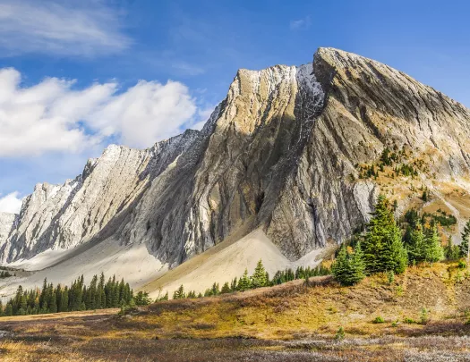 Tall mountains with trees and dried pastures on the ground floor