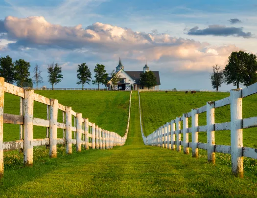 Wide shot of the Kentucky House Farm.