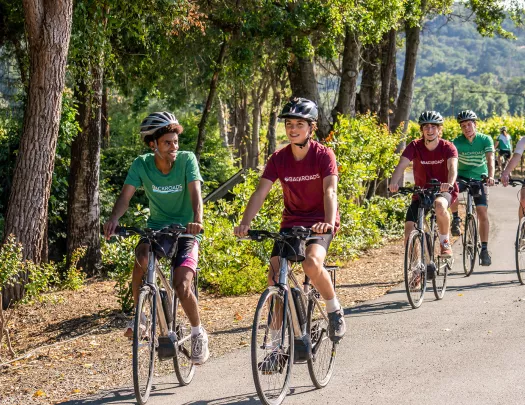 Five young guests biking down forest road, grapevines.