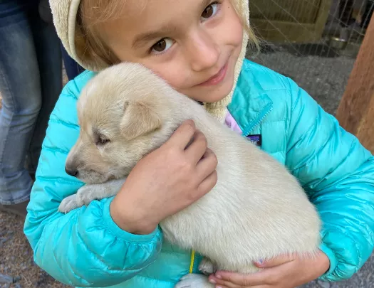 Little girl with puppy