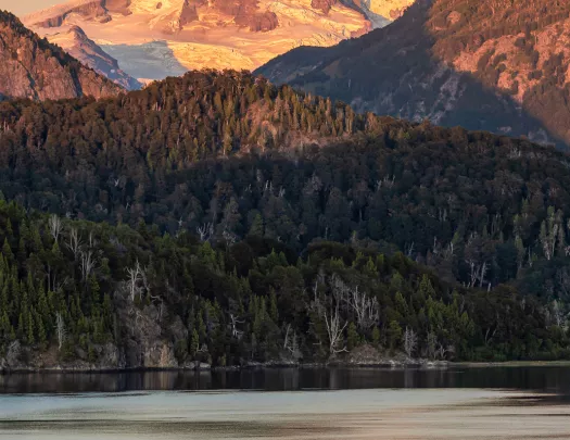 Wide shot of reflective lake during sunset, forest, snowy mountain behind.
