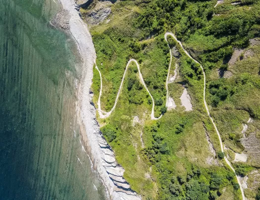Overhead shot of winding beach trail, ocean, forest.
