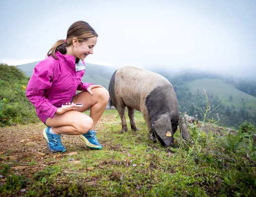 Young guest crouching on hilltop with pig.