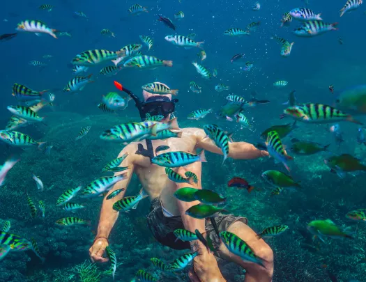 Man underwater swimming with a school of fish
