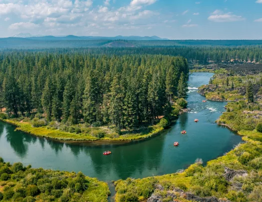 U-shaped river next to large valleys and pine trees