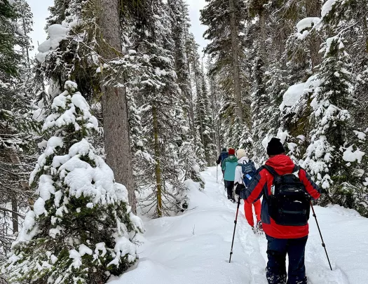 Group of people walking through a snow-covered forest