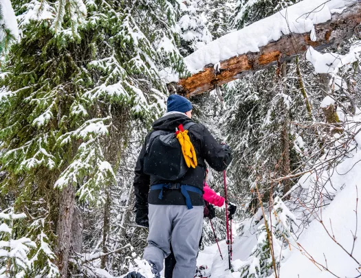 Guests with snow shoes hiking through trail.