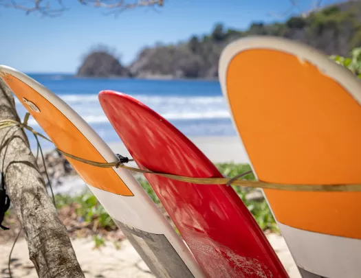 Surfboards Upright Beach Overlooking Surf Break 