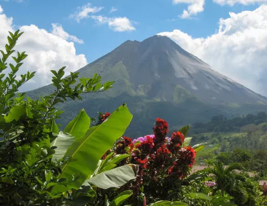 Tree view Arenal Volcano 