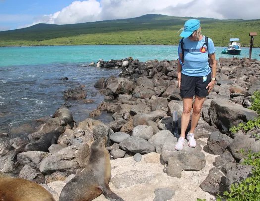 Hikers on rocky ground
