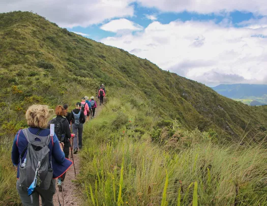 Hikers walking along a grassy path