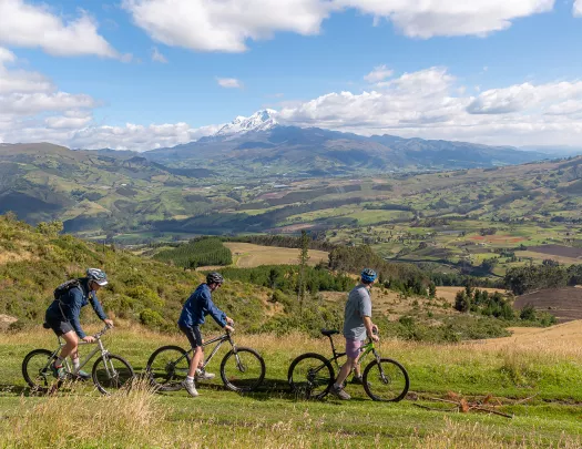 Bikers cycling through a grassy field