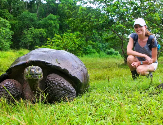 Giant Turtle Guest Kneeling Ecuador