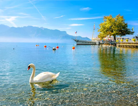 Sunny Lake Geneva, pier in background.