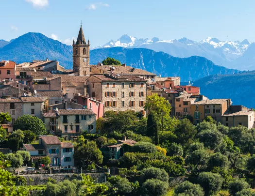 Rustic, European town buildings surrounded by tall trees