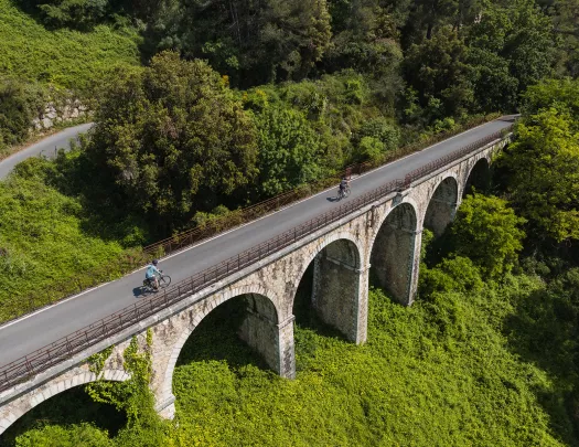 Tall bridge over a forest with two people riding bikes on the bridge