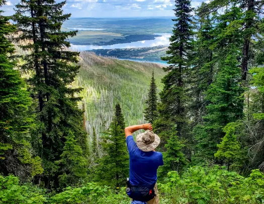 Backroads guest lining up the perfect picture of green forest