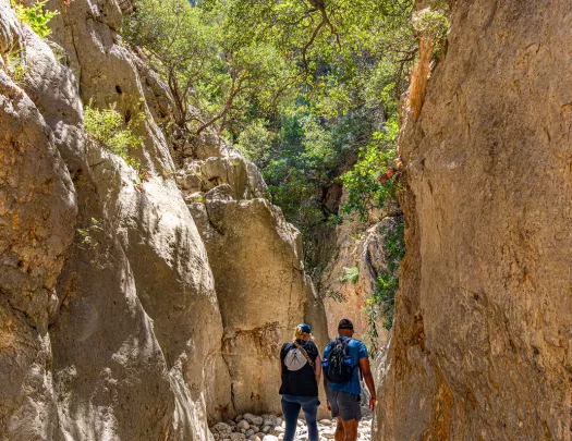 Two guests walking between large cliffs.