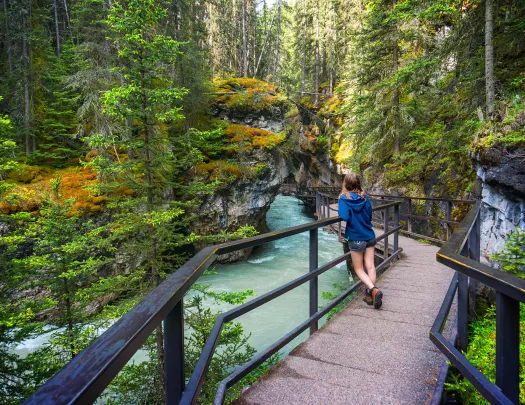 Young guest on bridge over river, looking out towards forest.