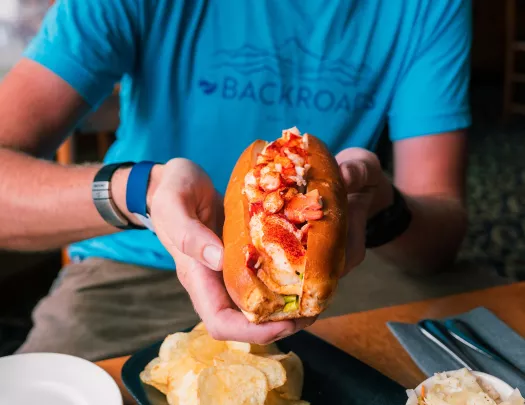 Person holding up a lobster roll