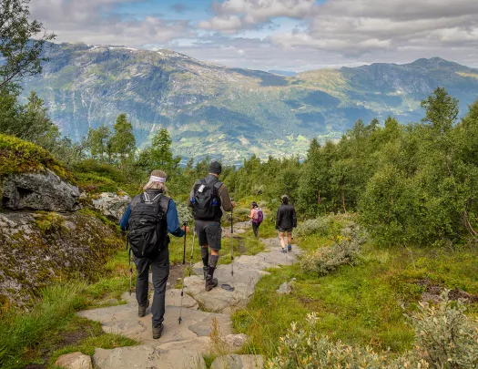 Hiking Down Stone Path