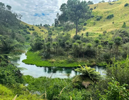 River winding through grassy valley in New Zealand