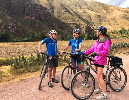 Three guests with bikes amid golden meadow, hill behind them.