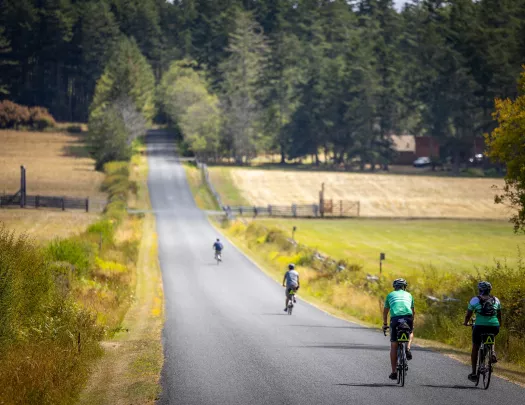 Group of people biking on an empty road, very spread apart from each other