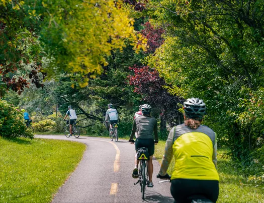 The back of a row of bikers cycling down a street