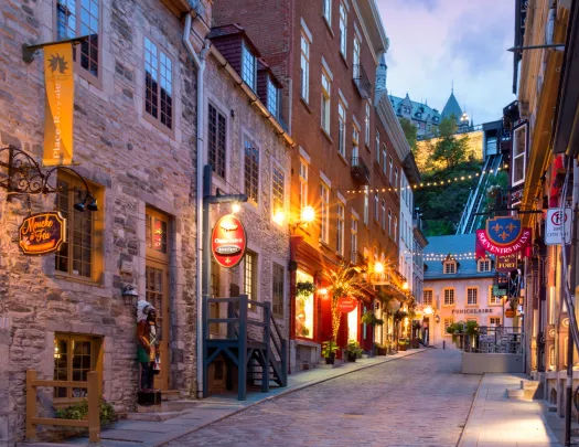 Cobblestone street decorated with streetlights