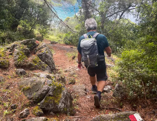 Guest walking down forested hillside, towards blue water.