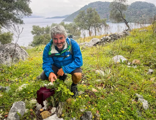 Guest on grassy mountain, pointing to maroon flower, ocean, mountains in distance.