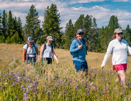 Backroads guests hiking through fields of lavender