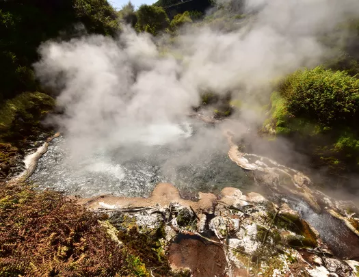 Steaming geothermal activity in Te Manaroa, New Zealand