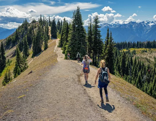Four people with distance between them walking towards the peak of a hill