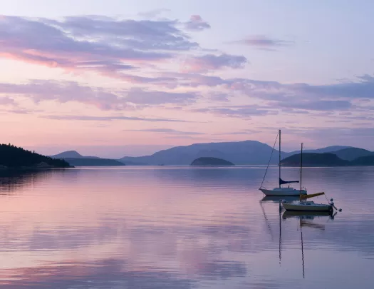 Two sailboats on a still lake during purple sunset.