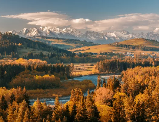 Forested path with small huts in the foreground and Dolomites in the horizon.