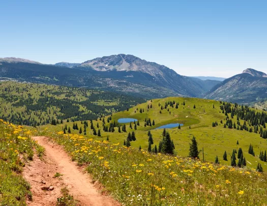 Dirt trail on top of a hill, with a large valley in the distance