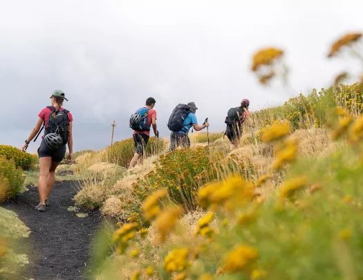Backroads guests hike through a flowering field