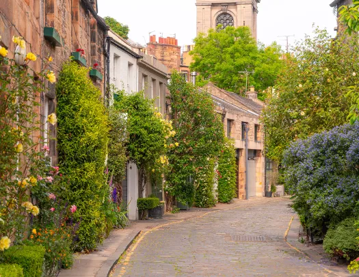 cobblestone street lined with flowers and shrubs