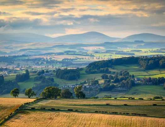 Farmland surrounded by trees