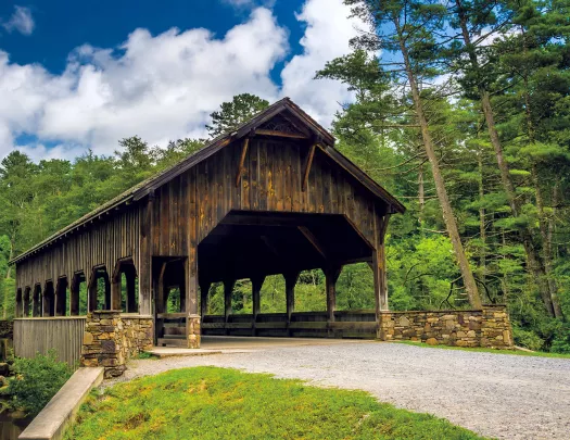 Shot of wooden bridge covering.