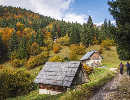 Two hikers walking on a trail past small wooden huts.