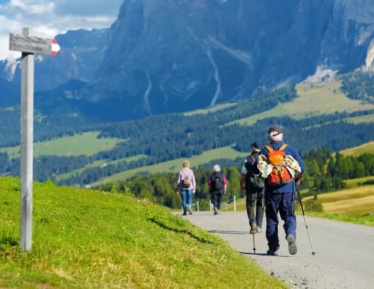 Group of people with walking poles, walking through a road with mountains in the distance