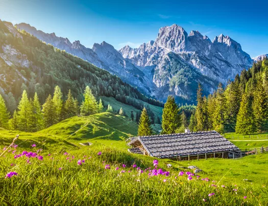 Wide shot of small mountain house, forest, mountain range in distance.