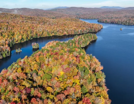 Large forest with green, yellow and orange trees with a lake to the right
