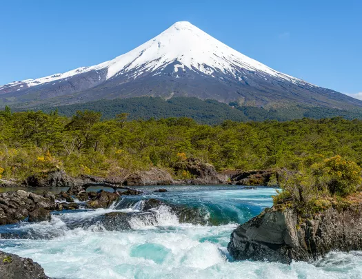 River with small waterfalls, surrounded by tall plants and a snow-capped mountain in the distance