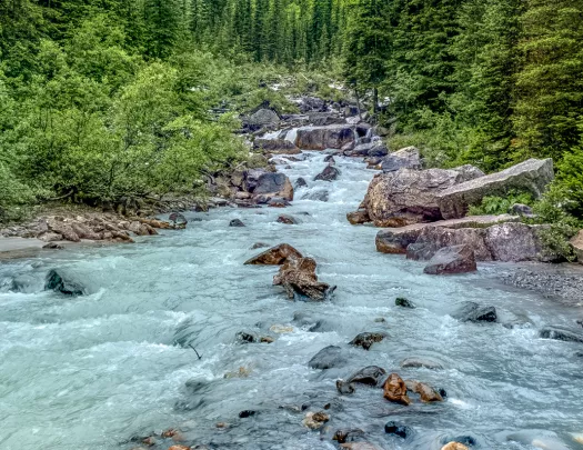 Rough flowing river, rocky shore, trees, hillside in distance.