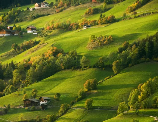 Wide shot of green, hilly plains.