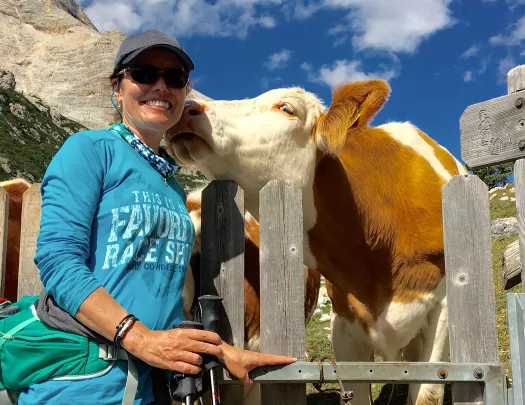 Guest at farm, cow licking her cheek.